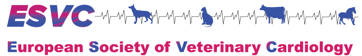 veterinary cardiology